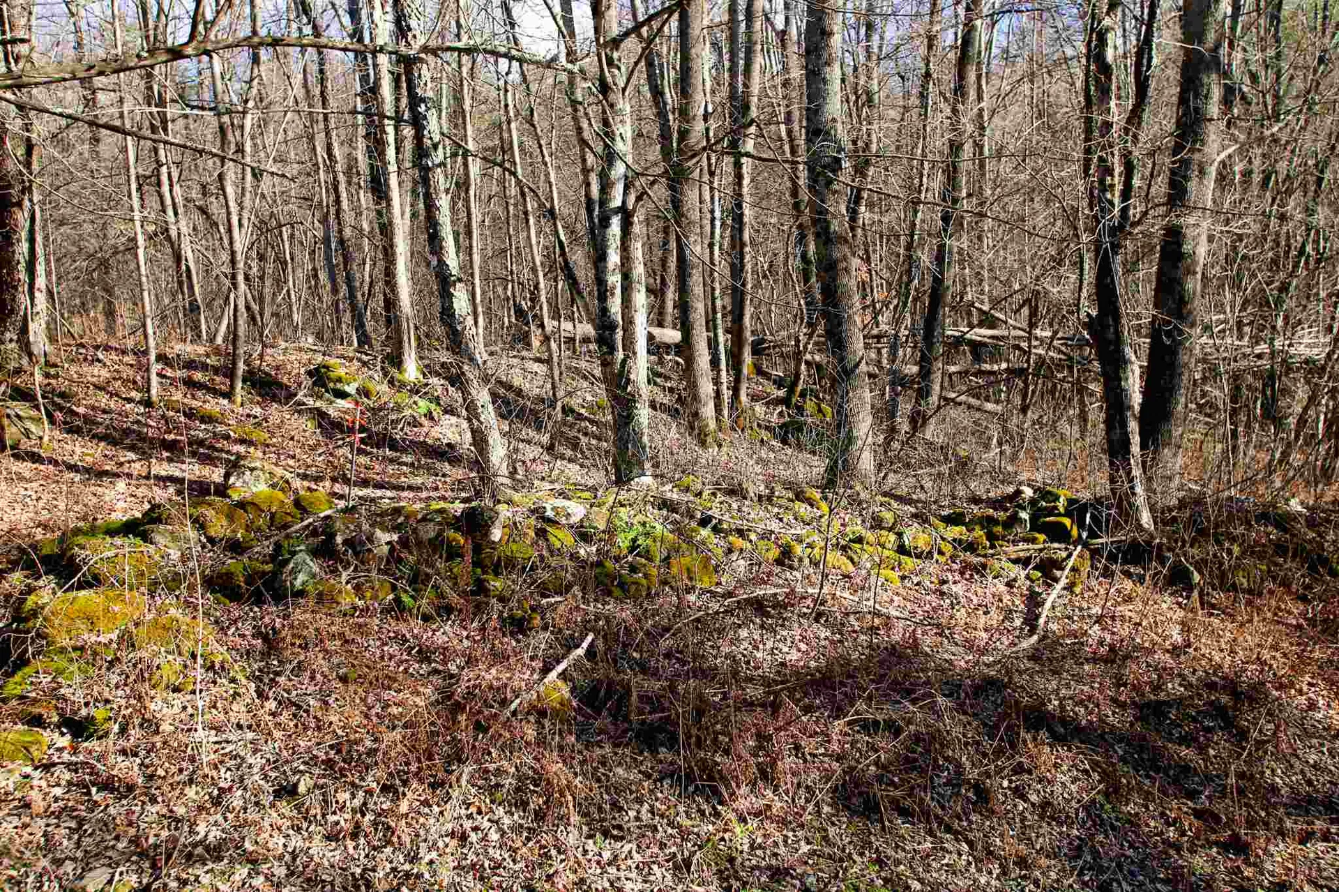 868 Maple Hill Rochester VT 05767