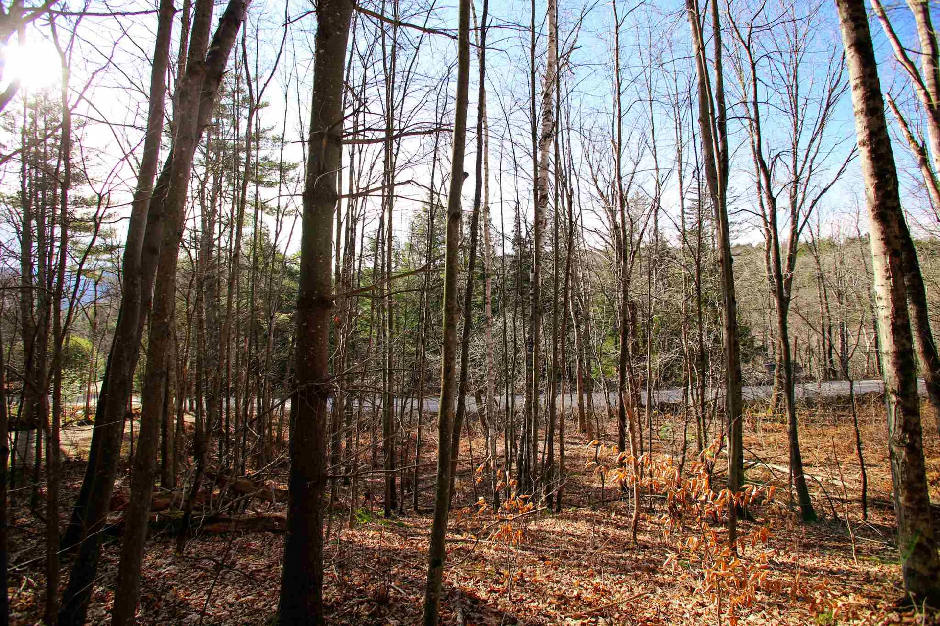 868 Maple Hill Rochester VT 05767