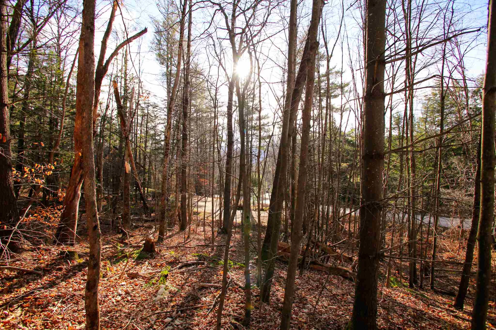 868 Maple Hill Rochester VT 05767