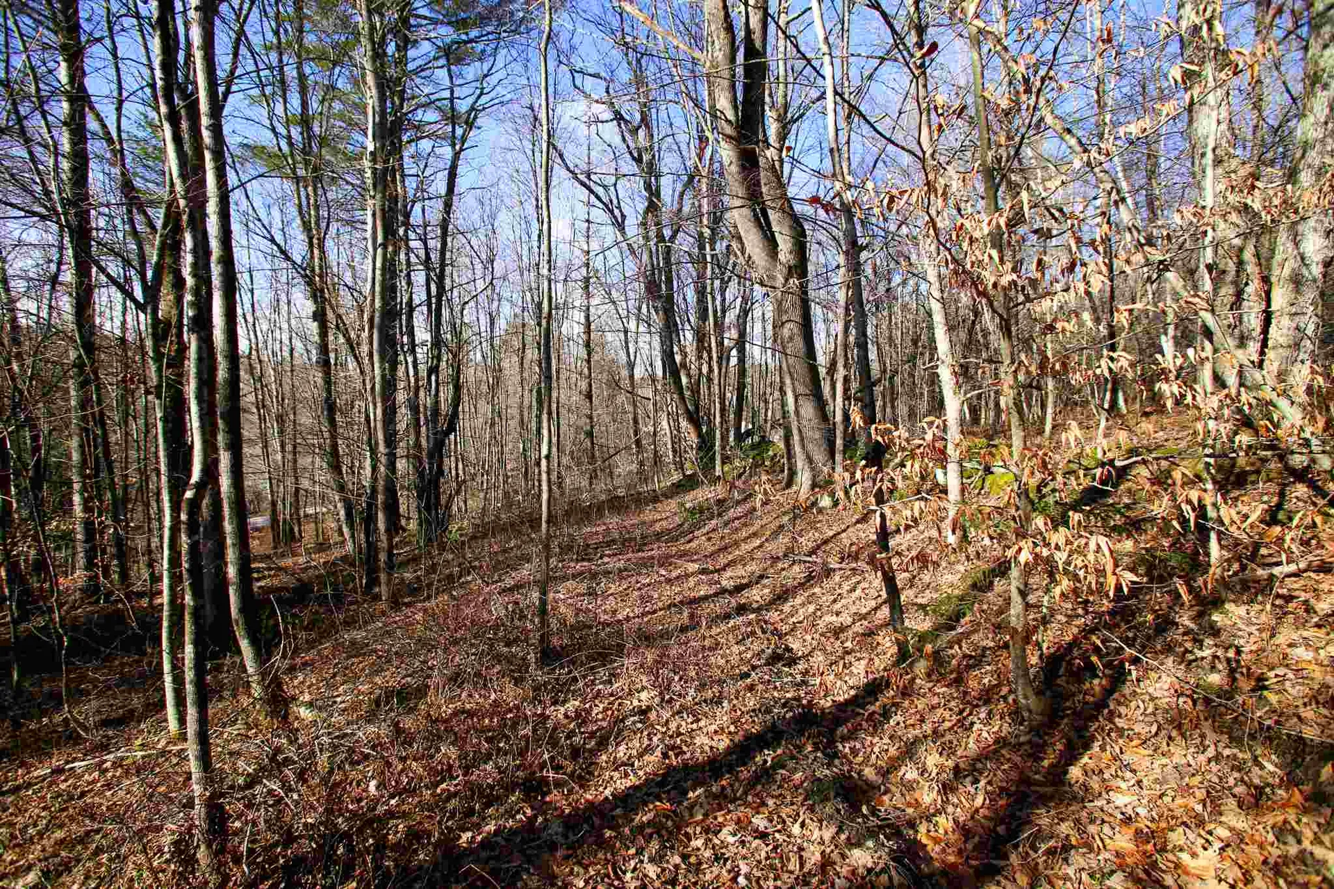 868 Maple Hill Rochester VT 05767