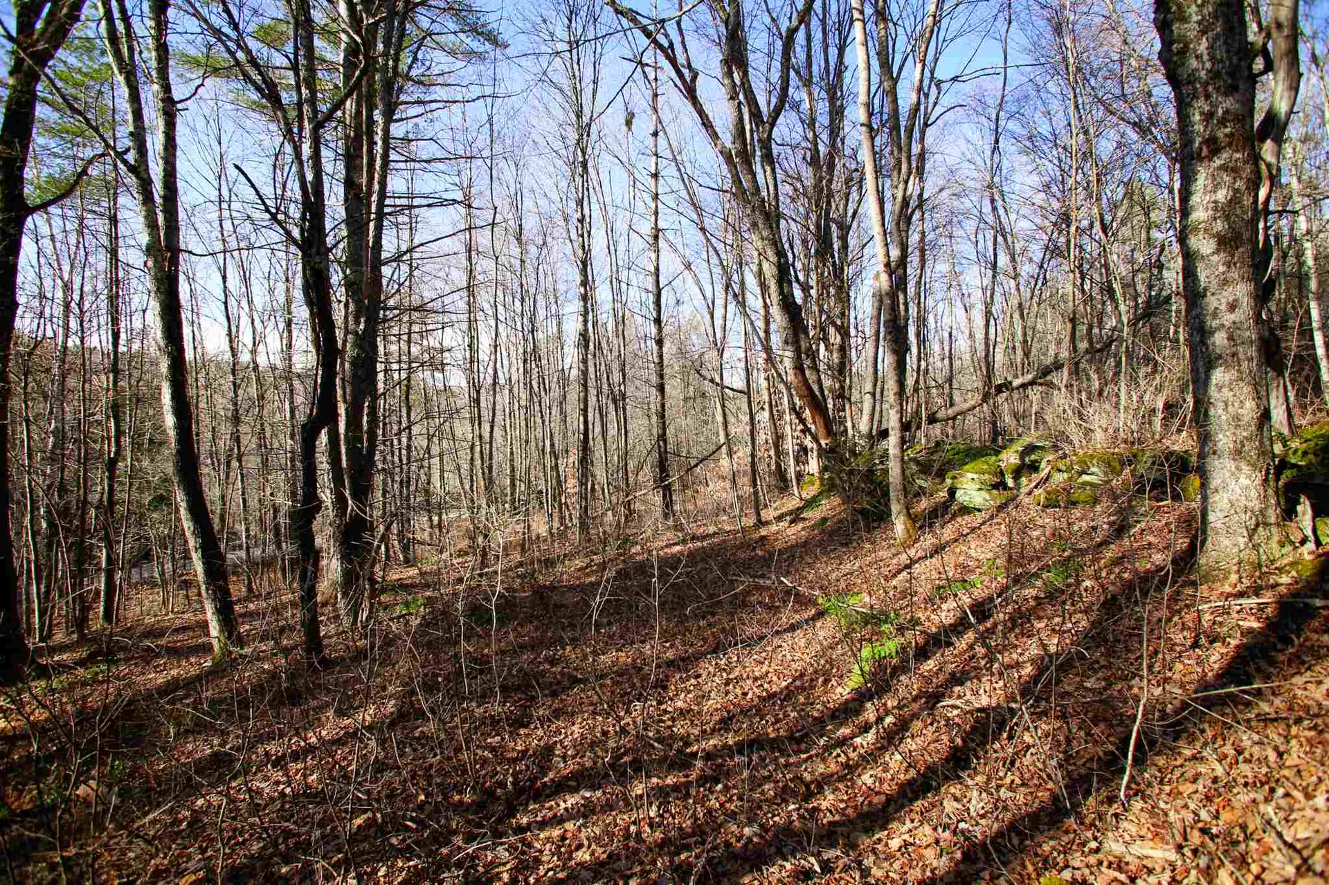868 Maple Hill Rochester VT 05767