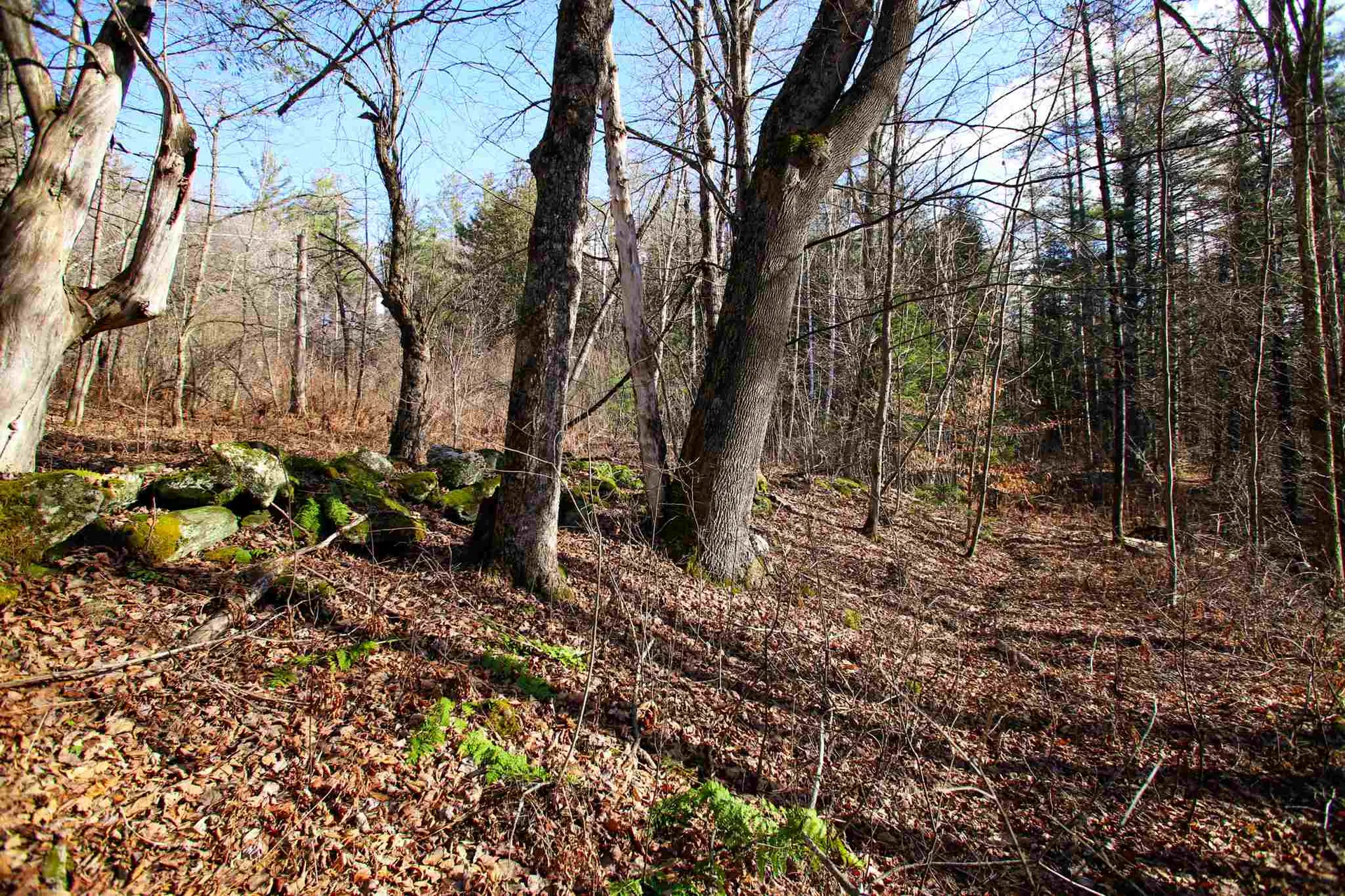 868 Maple Hill Rochester VT 05767