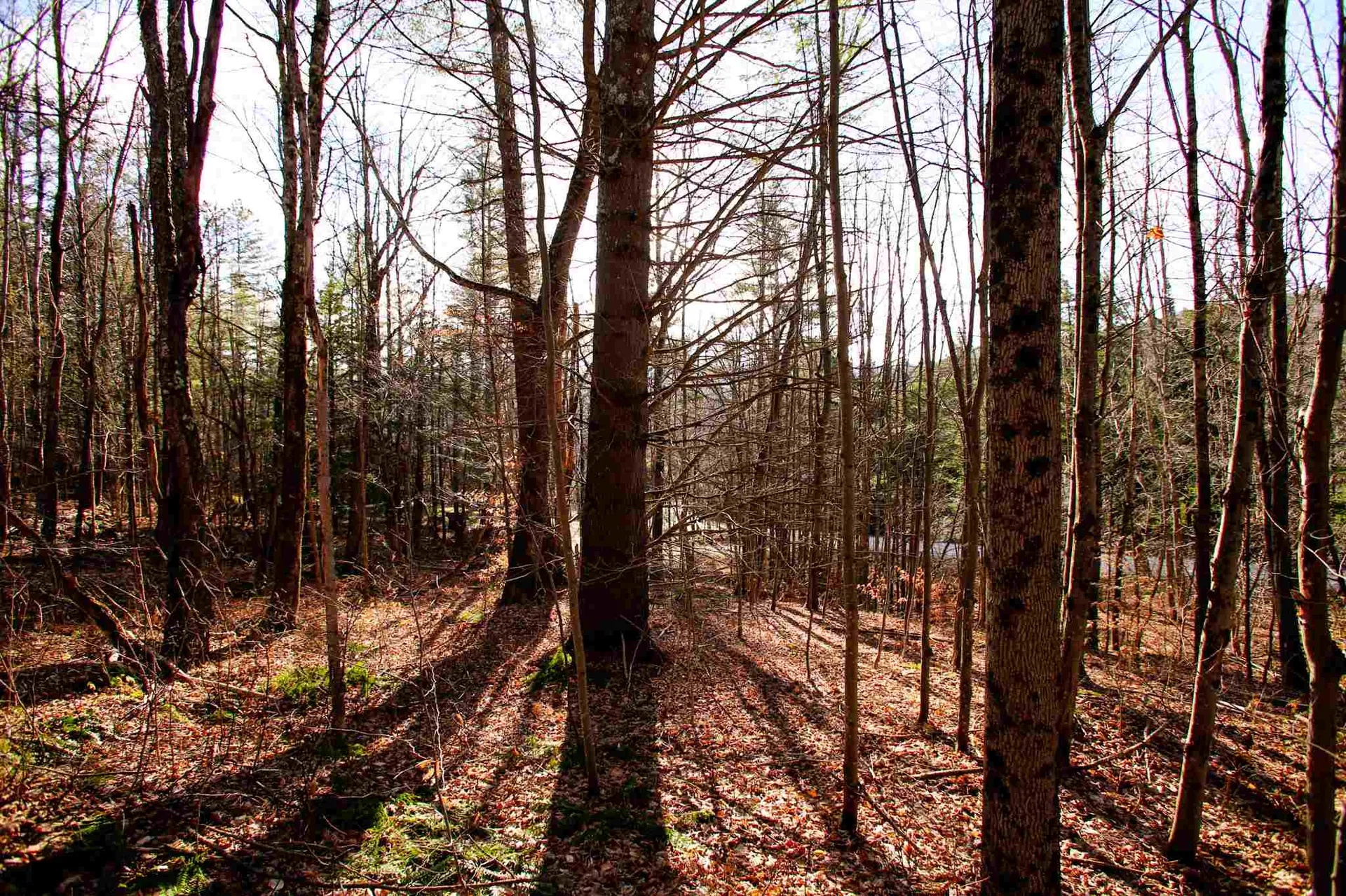 868 Maple Hill Rochester VT 05767