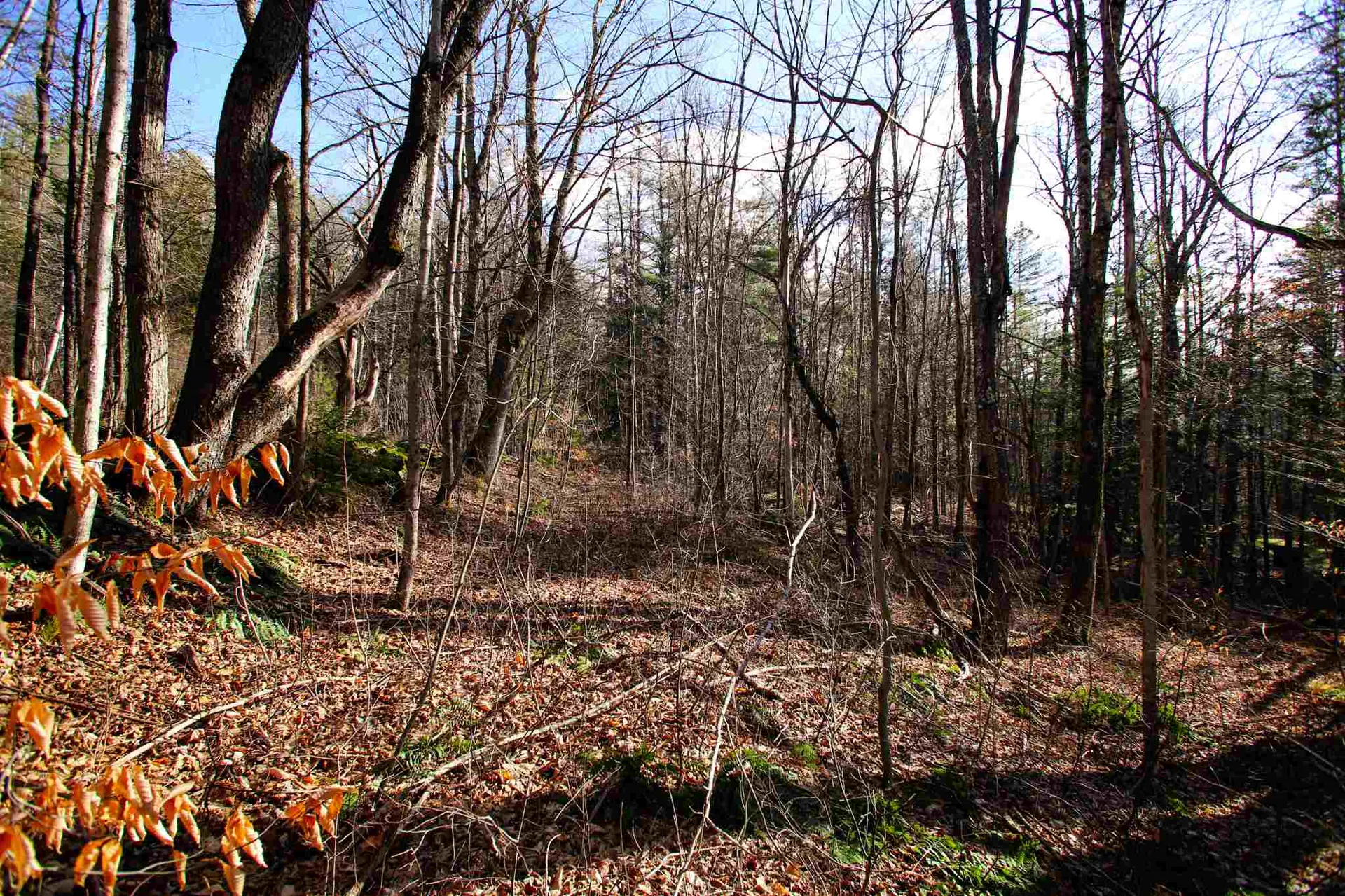 868 Maple Hill Rochester VT 05767