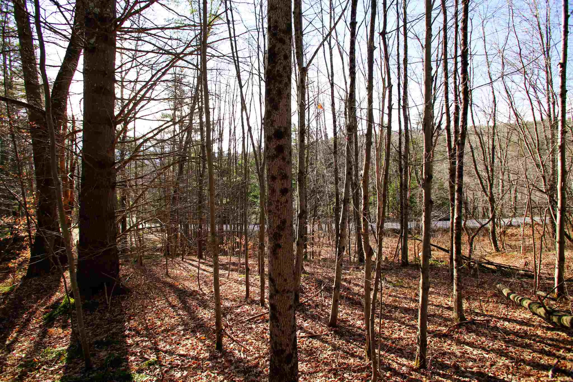868 Maple Hill Rochester VT 05767