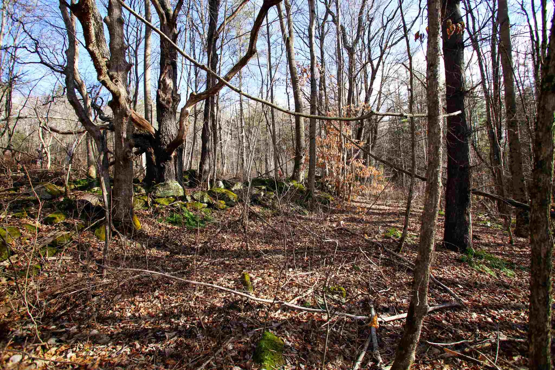868 Maple Hill Rochester VT 05767