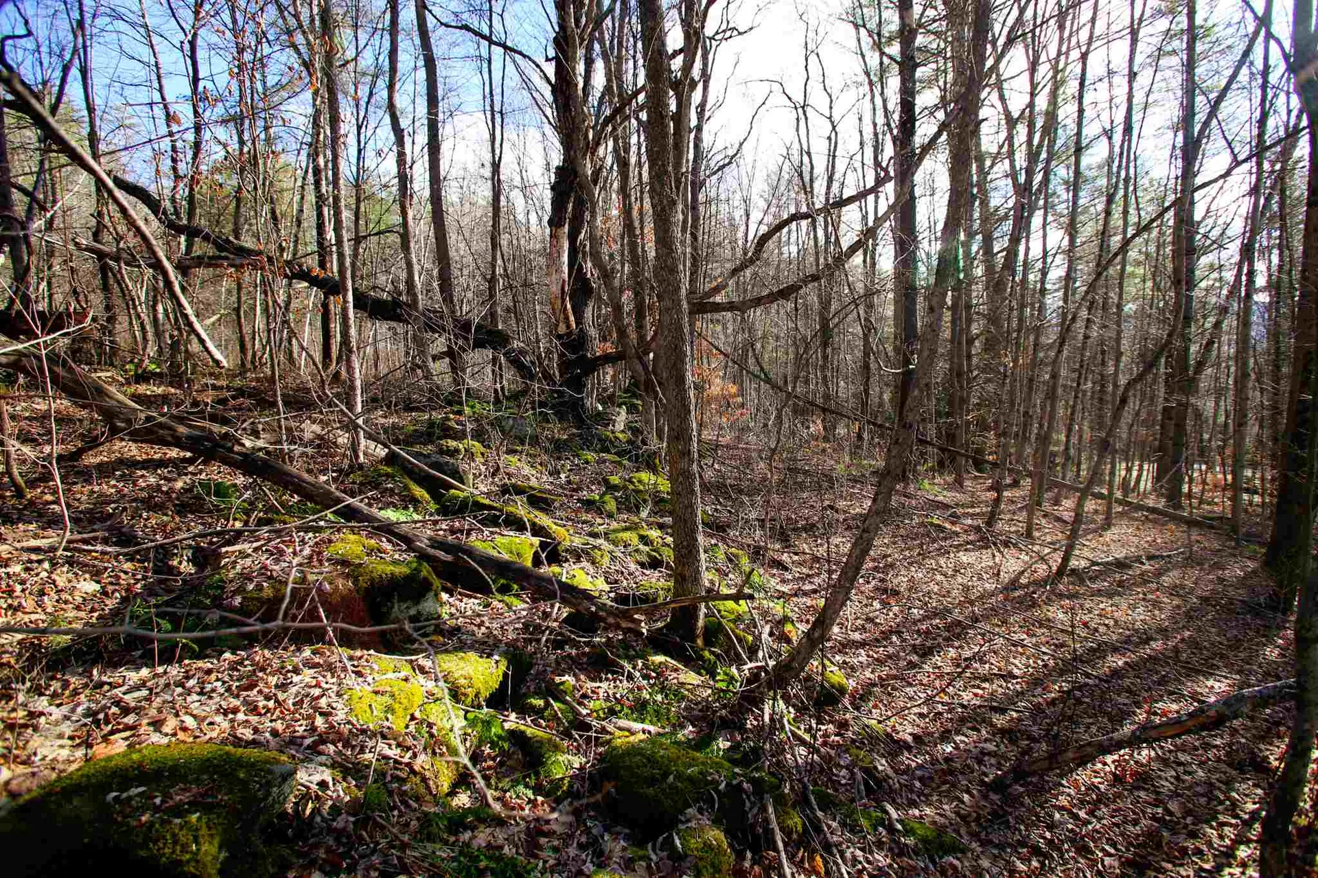 868 Maple Hill Rochester VT 05767