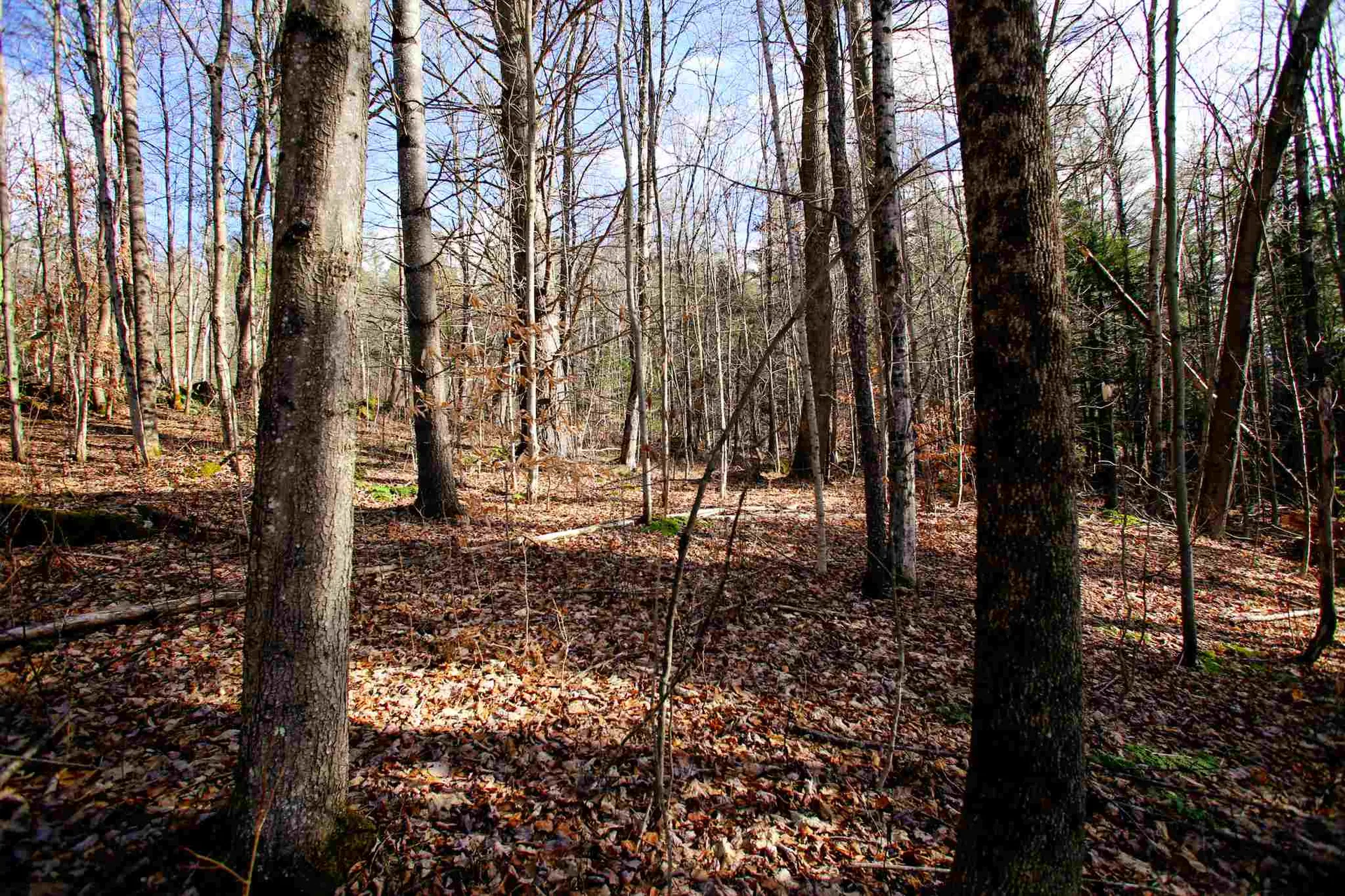 868 Maple Hill Rochester VT 05767