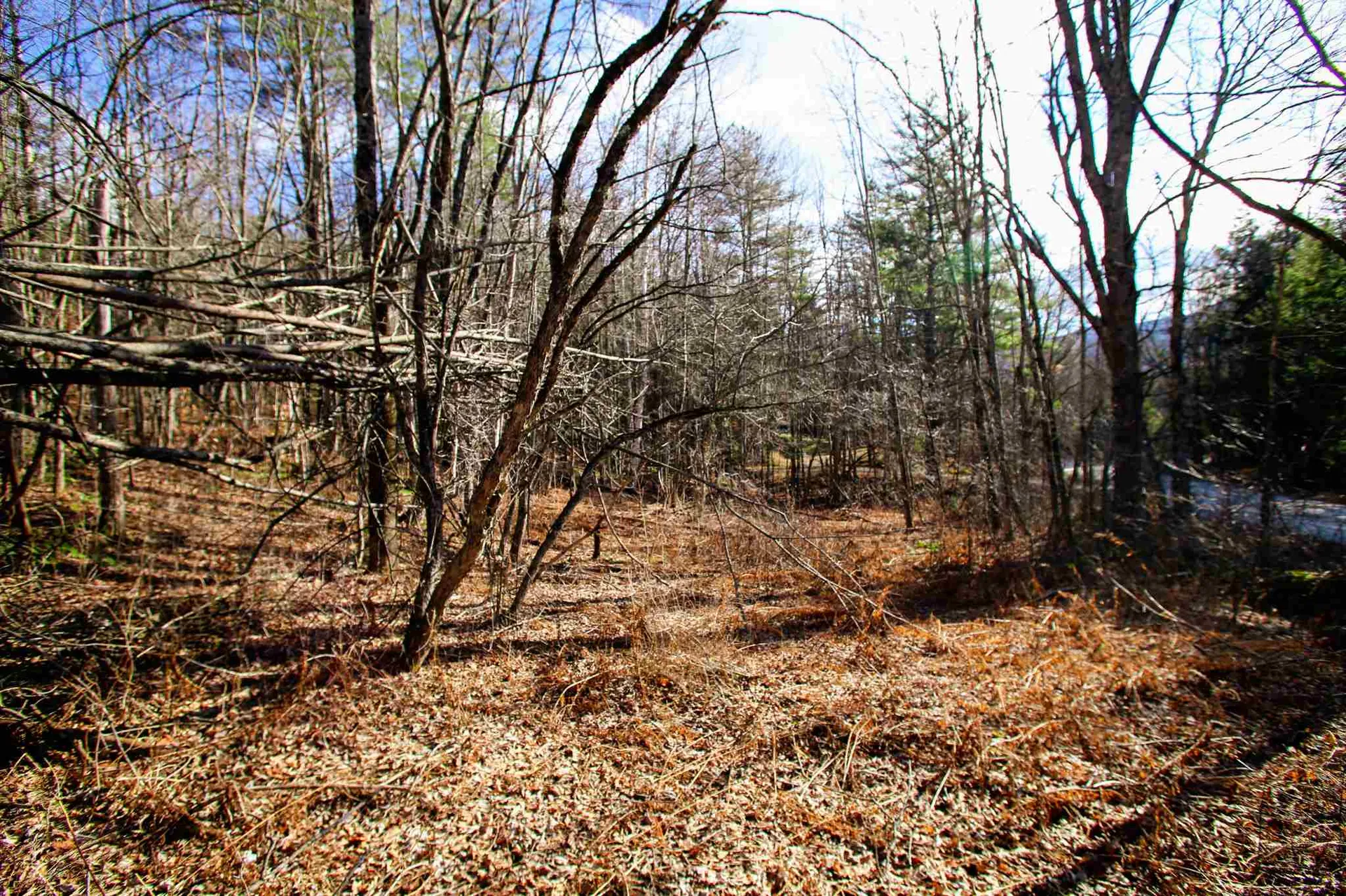 868 Maple Hill Rochester VT 05767