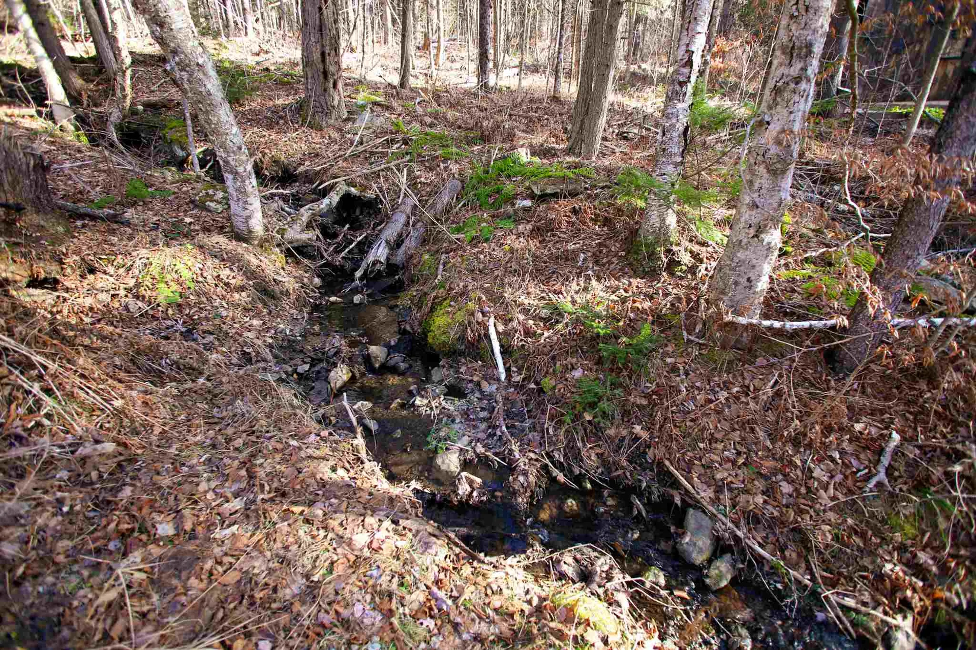 868 Maple Hill Rochester VT 05767