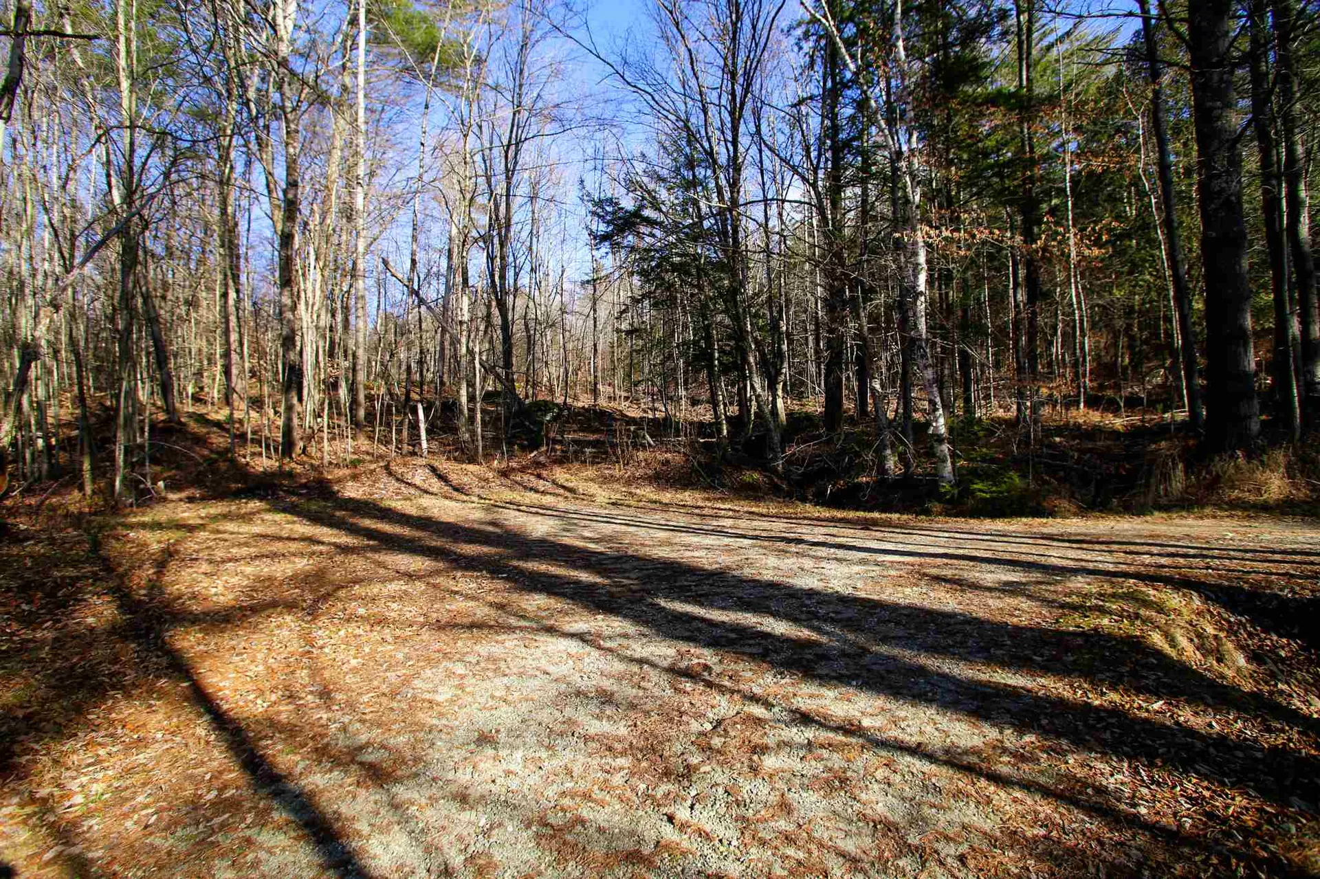 868 Maple Hill Rochester VT 05767