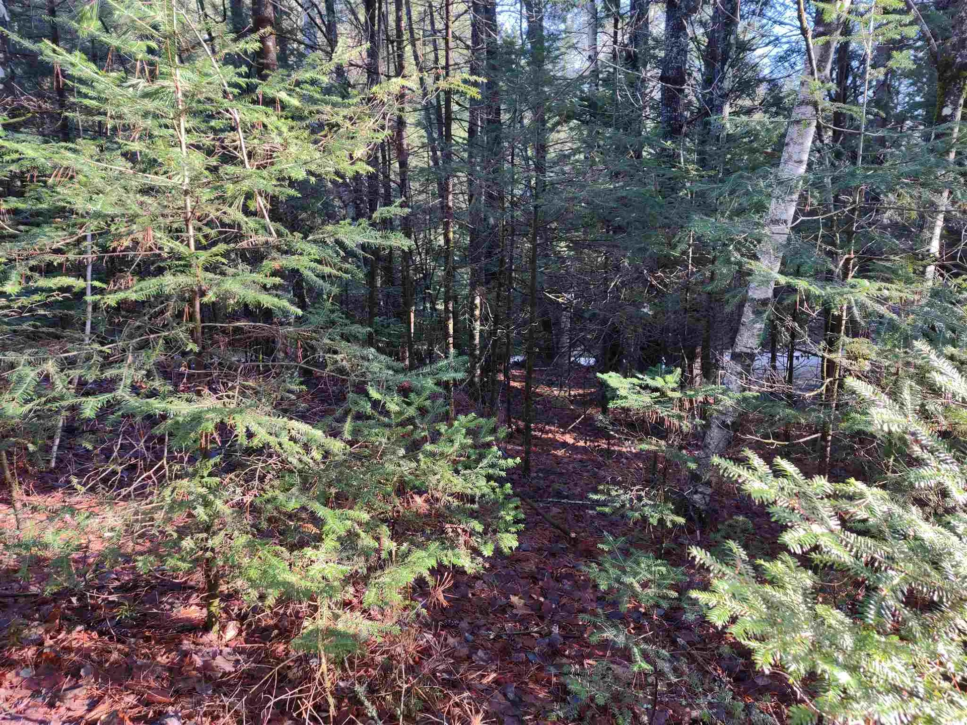000 Swiftwater Circle Haverhill NH 03785