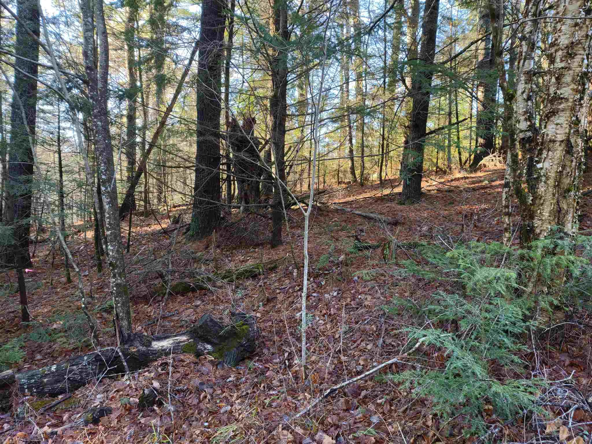 000 Swiftwater Circle Haverhill NH 03785