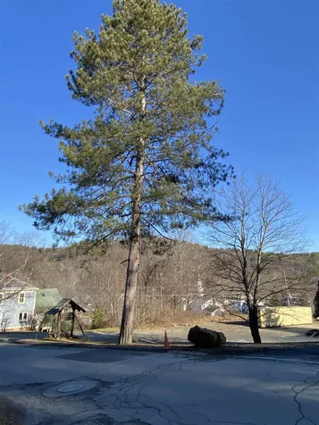 85 South Street Brattleboro VT 05301