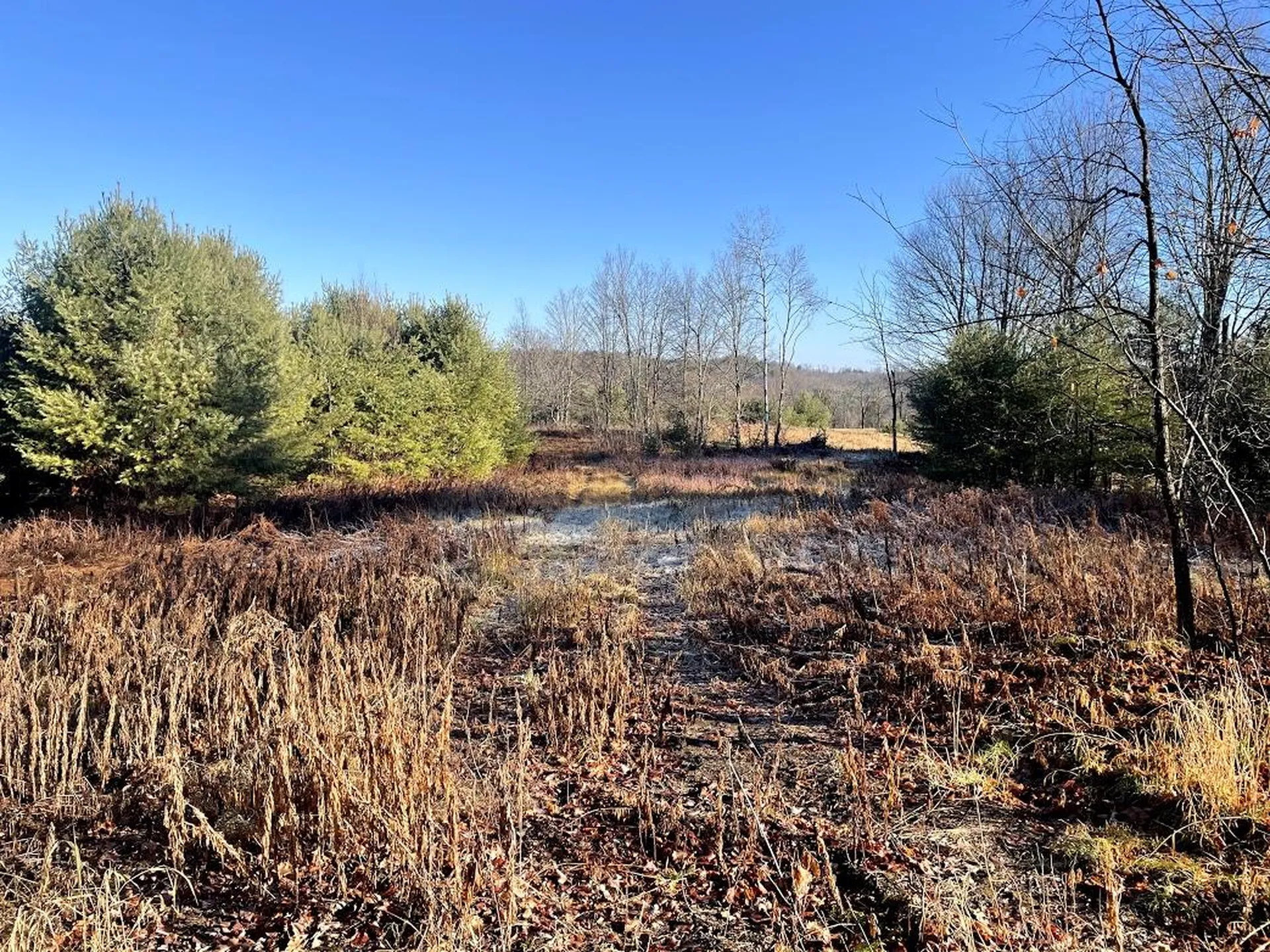 0 Chalmers Hill Road Newbury VT 05051