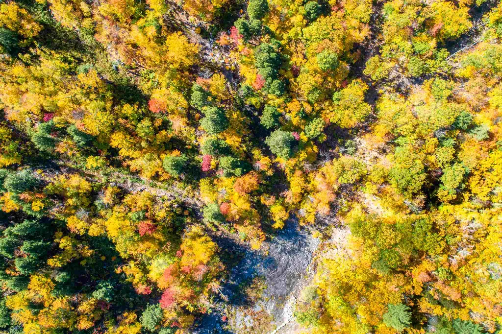 0 Woodman Hill Road Brookfield NH 03872