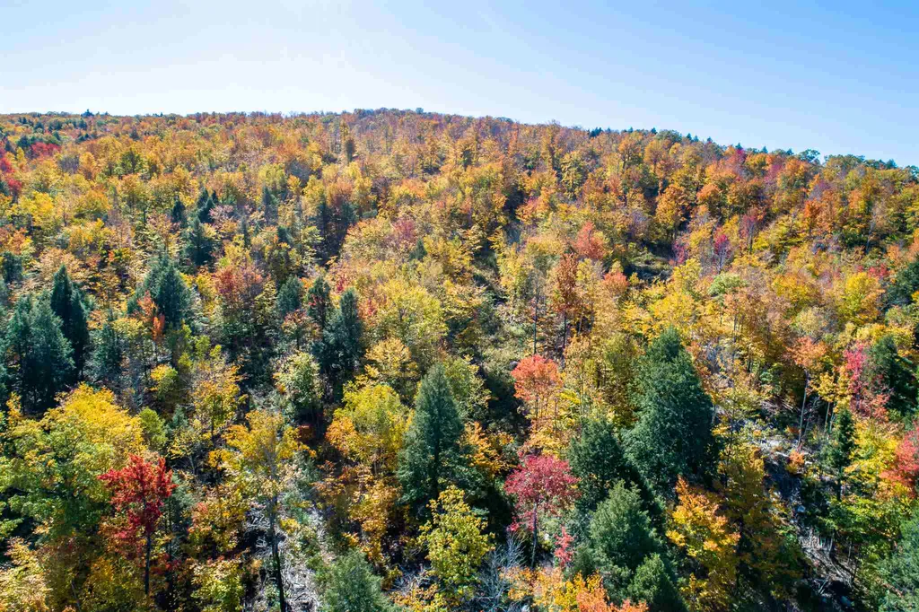 0 Woodman Hill Road Brookfield NH 03872
