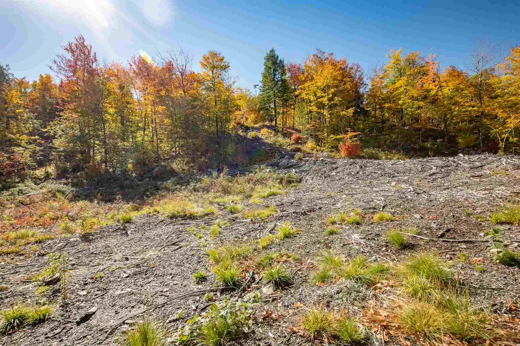 0 Woodman Hill Road Brookfield NH 03872