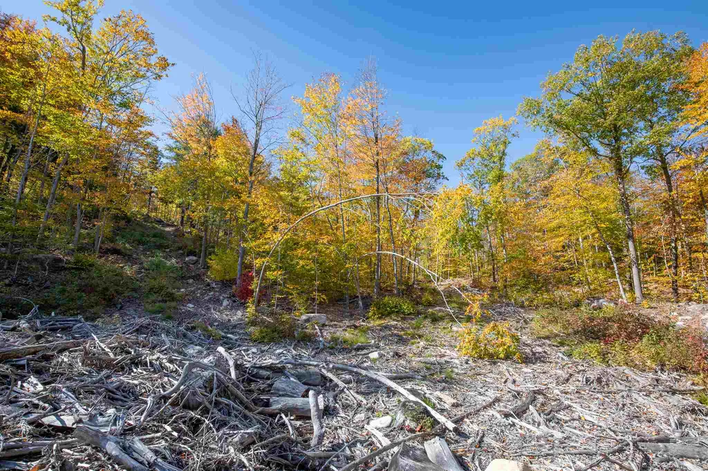 0 Woodman Hill Road Brookfield NH 03872