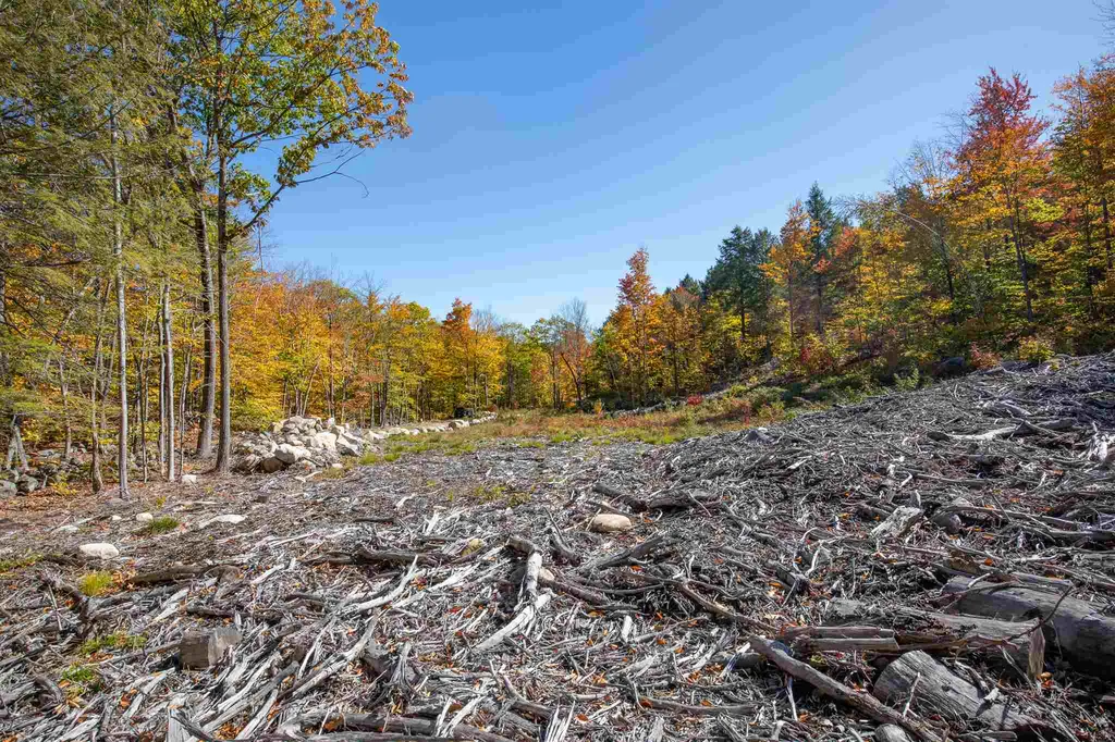 0 Woodman Hill Road Brookfield NH 03872