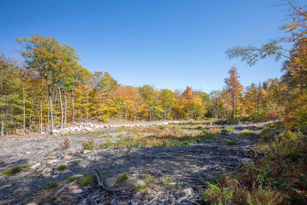 0 Woodman Hill Road Brookfield NH 03872