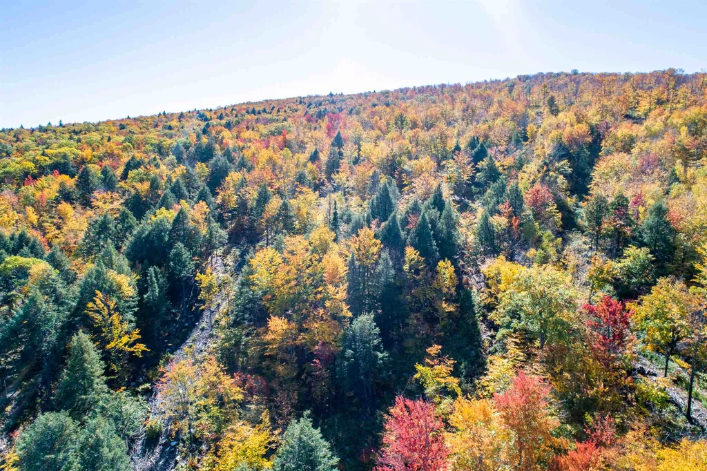 0 Woodman Hill Road Brookfield NH 03872