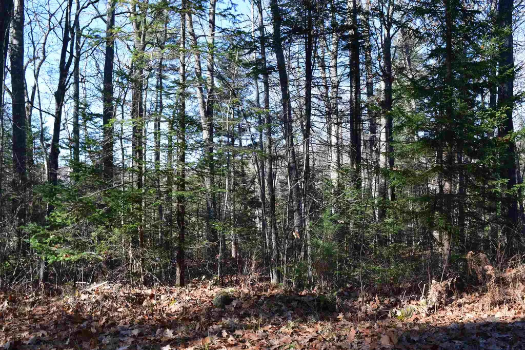 L 189 Hanover Drive Haverhill NH 03765