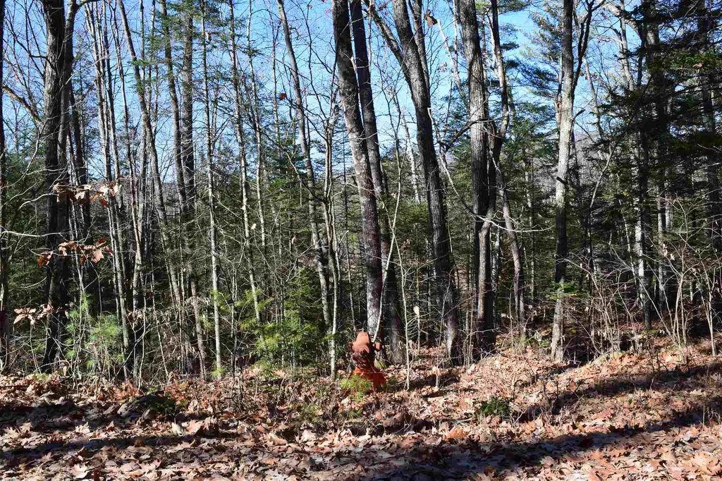 L 189 Hanover Drive Haverhill NH 03765