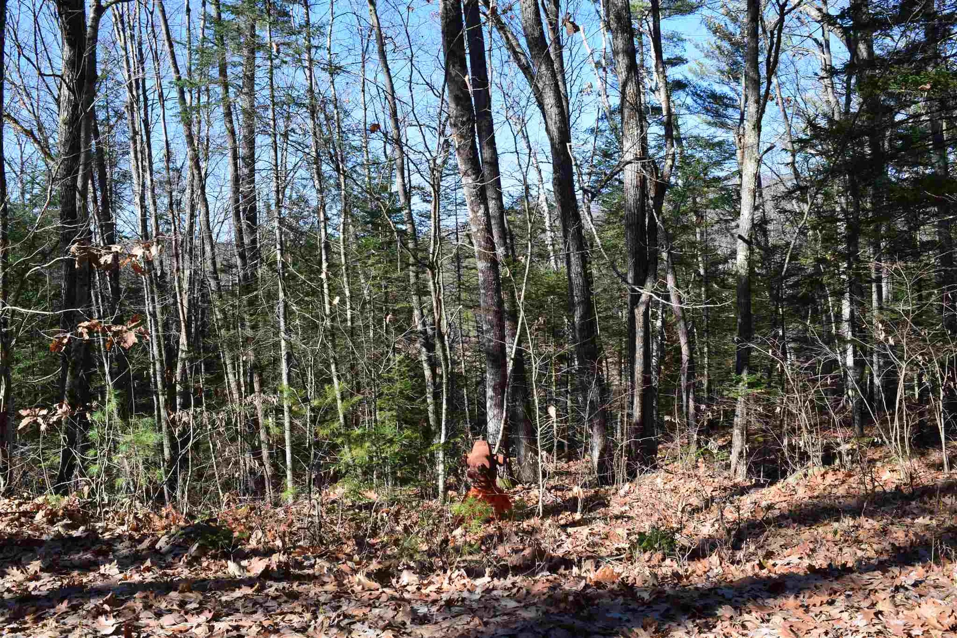 L 189 Hanover Drive Haverhill NH 03765