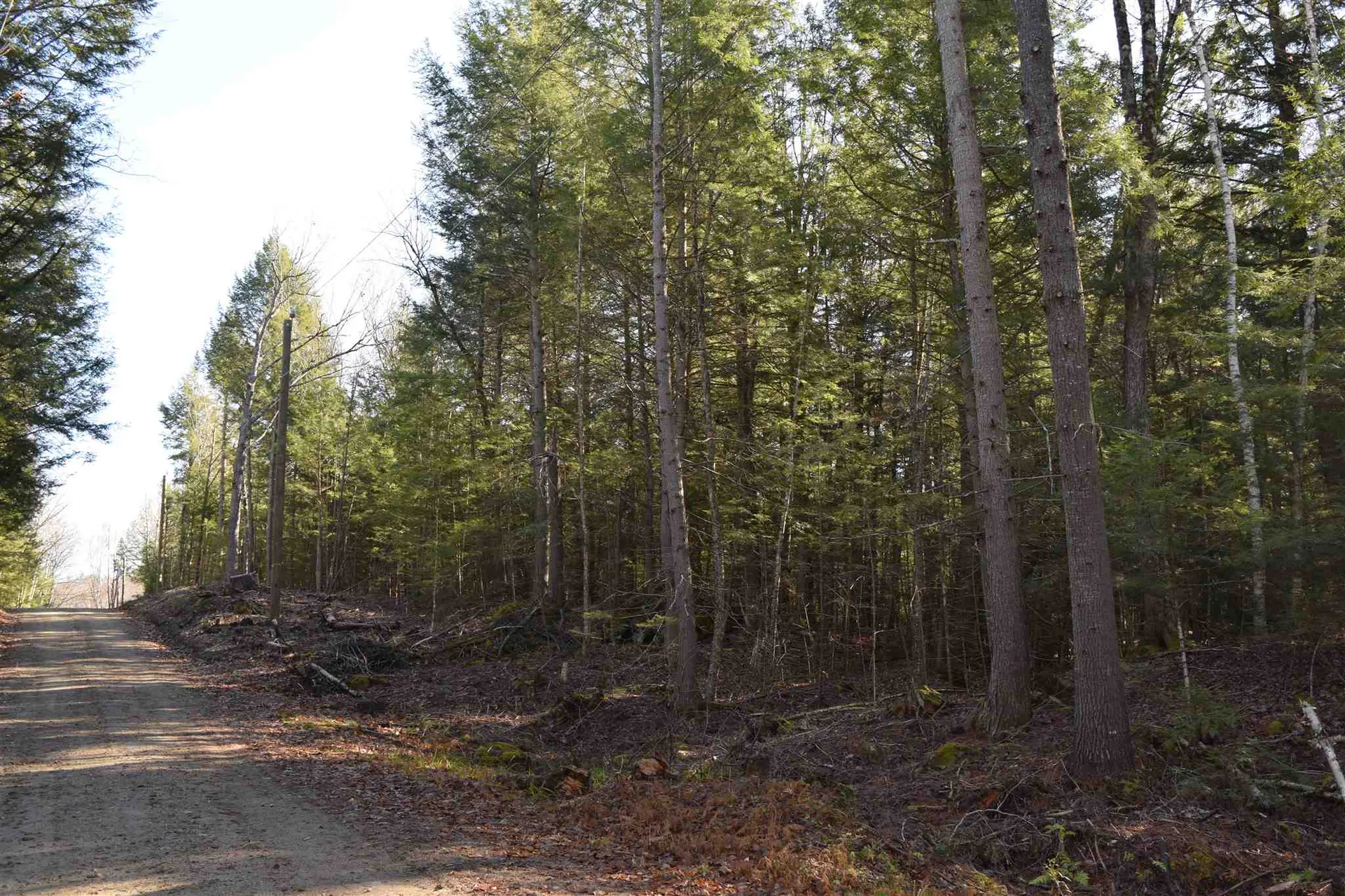 L 189 Hanover Drive Haverhill NH 03765