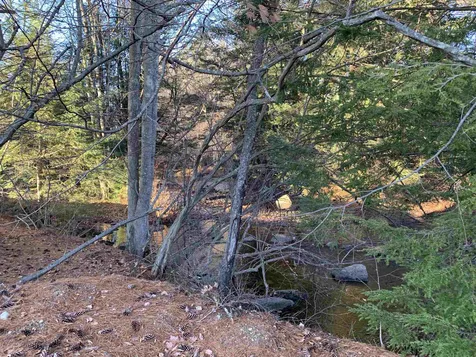 361 Forest Road Wilton NH 03086