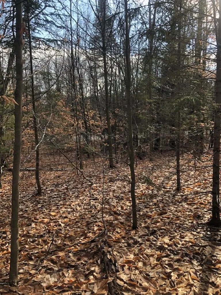 534 Hampshire Hill Road Worcester VT 05682