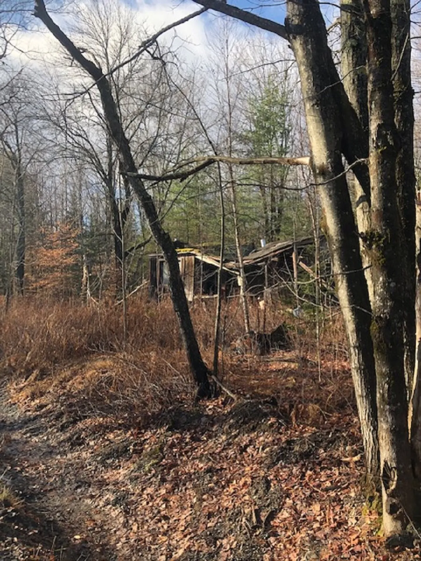 534 Hampshire Hill Road Worcester VT 05682