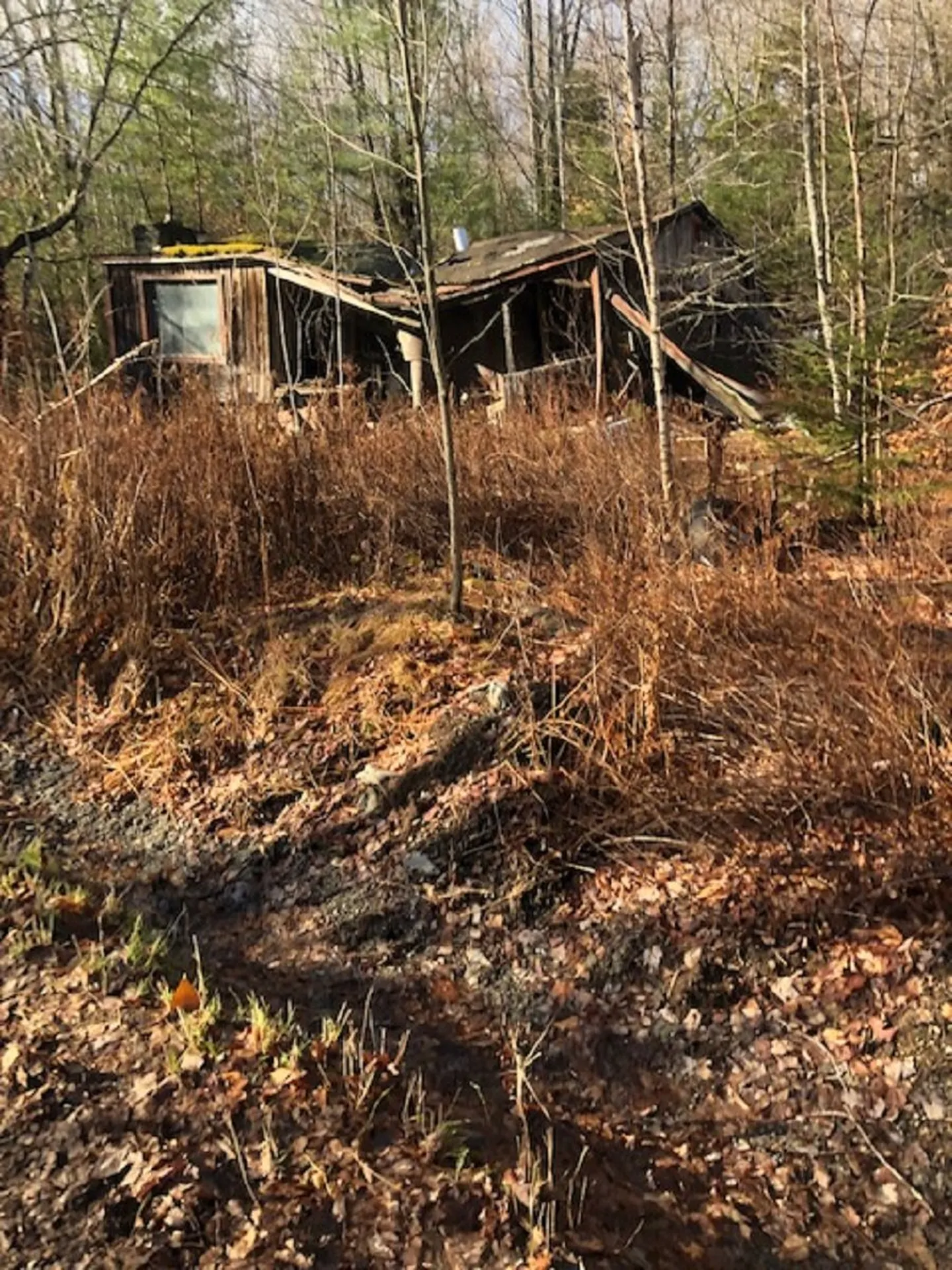 534 Hampshire Hill Road Worcester VT 05682