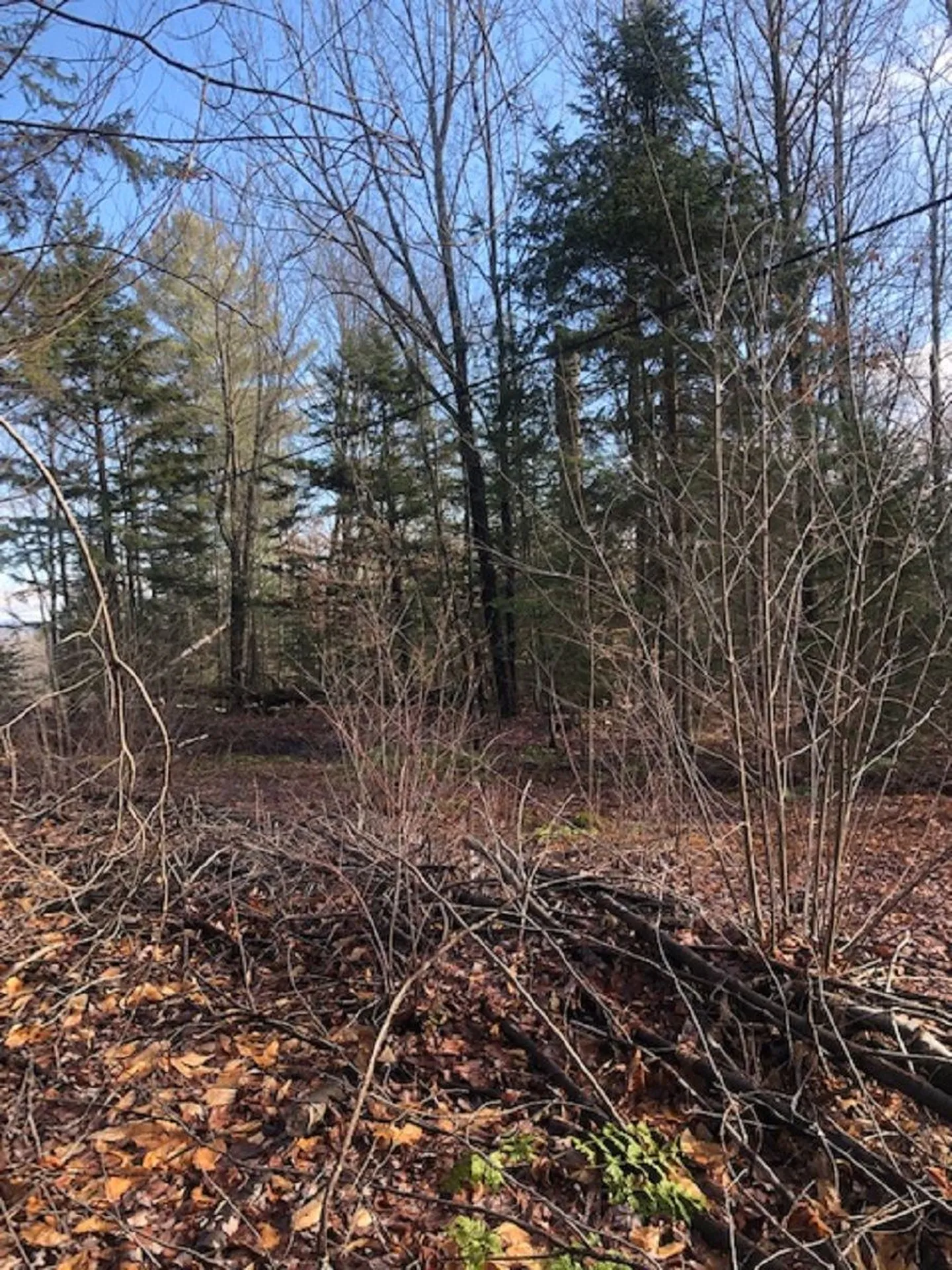 534 Hampshire Hill Road Worcester VT 05682