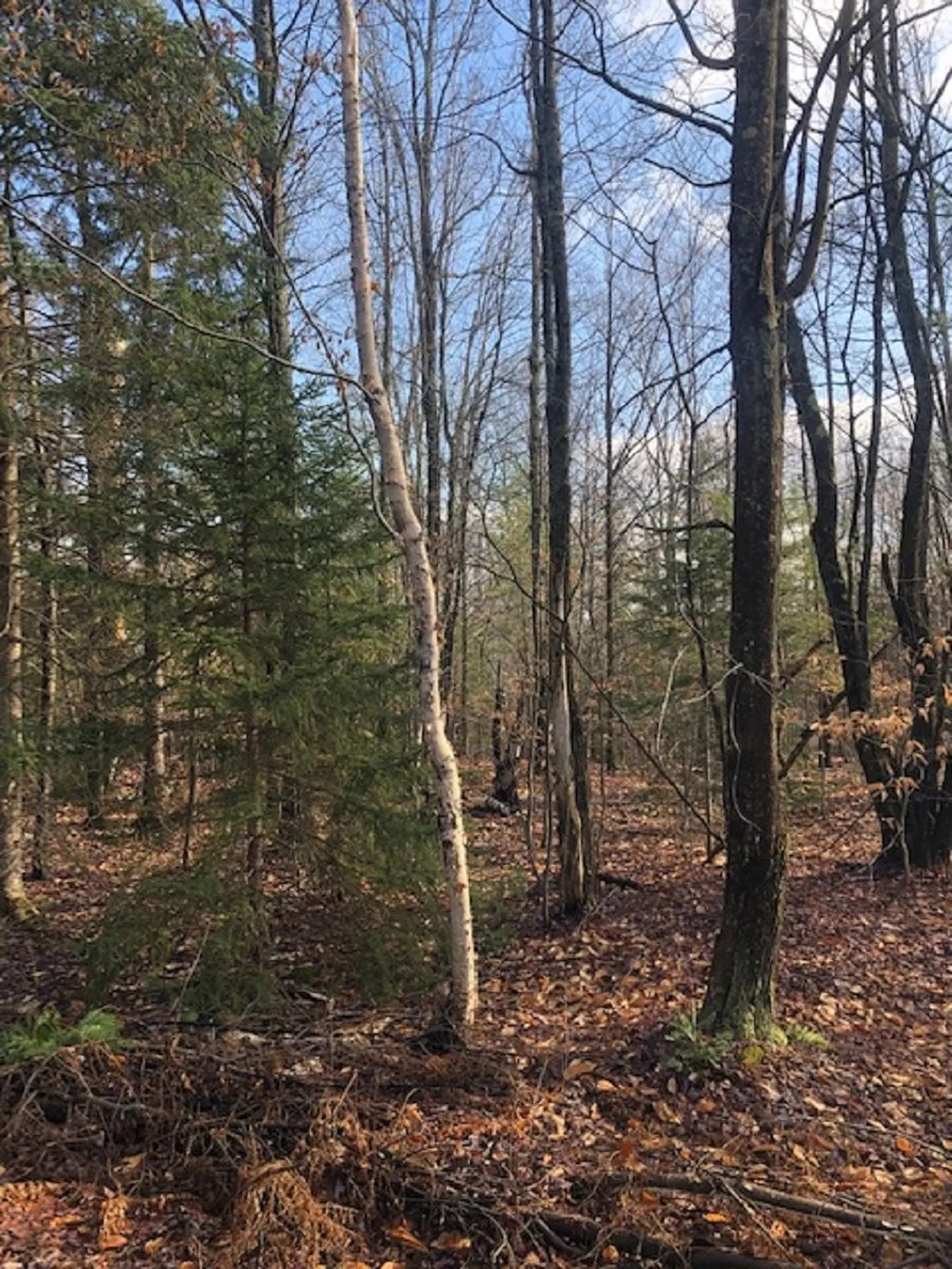 534 Hampshire Hill Road Worcester VT 05682