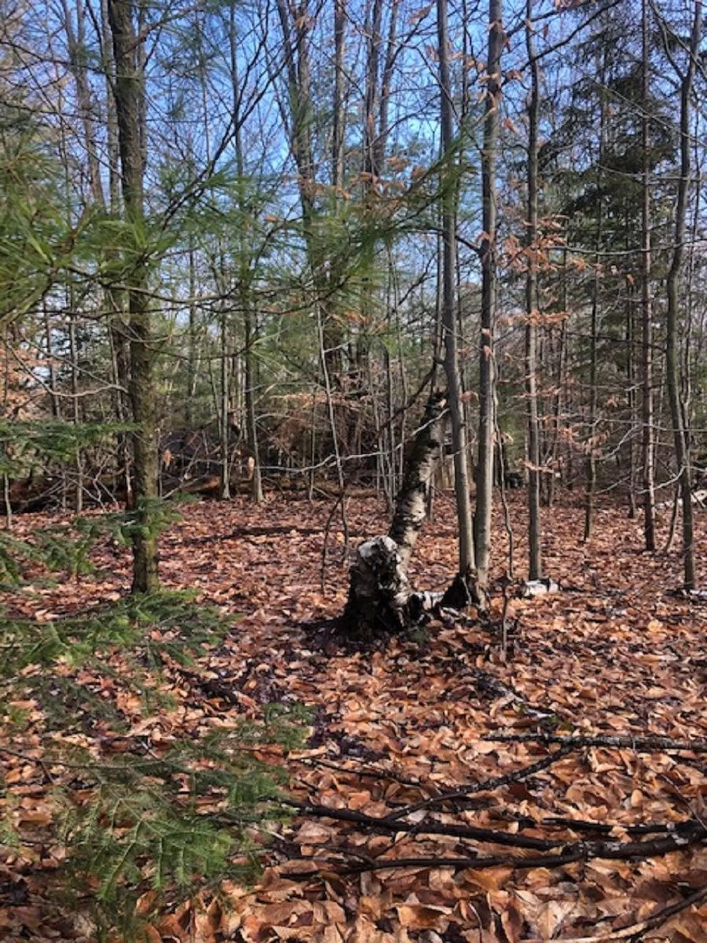 534 Hampshire Hill Road Worcester VT 05682