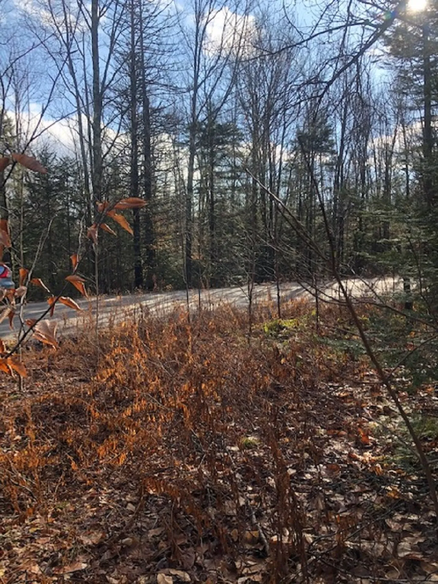534 Hampshire Hill Road Worcester VT 05682