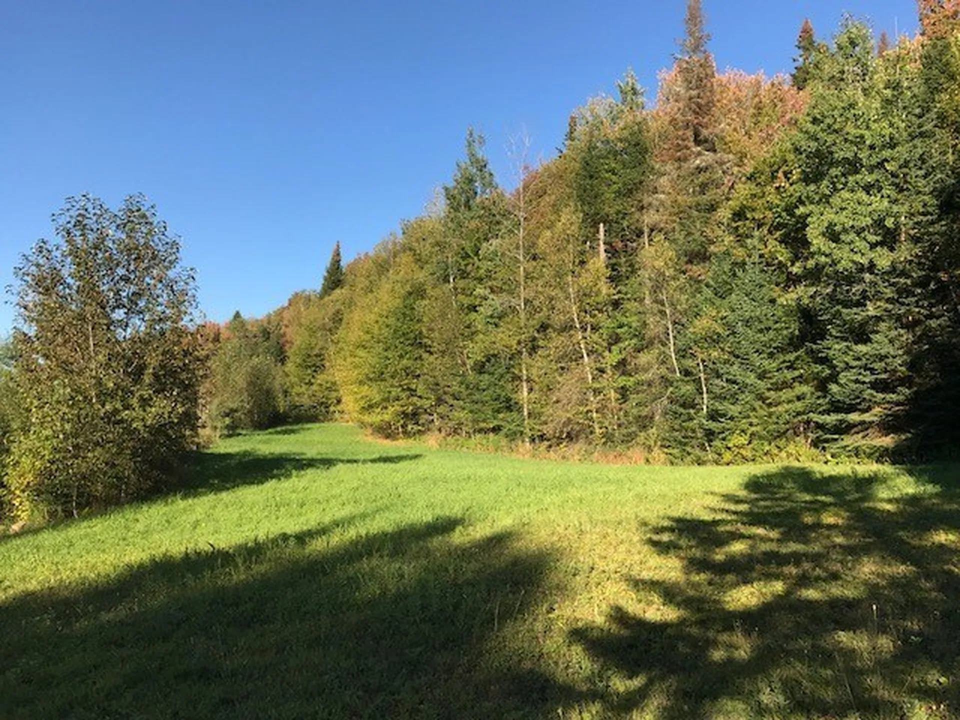 Meadow View Drive Pittsburg NH 03592