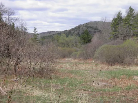 43 Colby Road Middlesex VT 05602