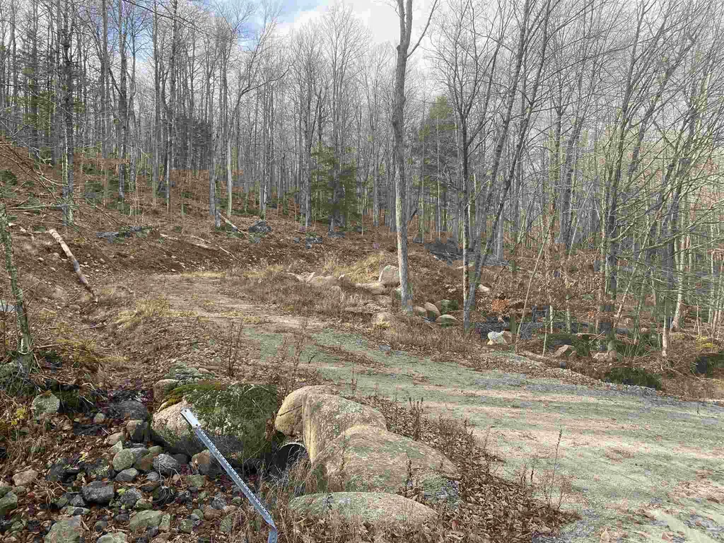 178 Dole School House Road Washington NH 03280