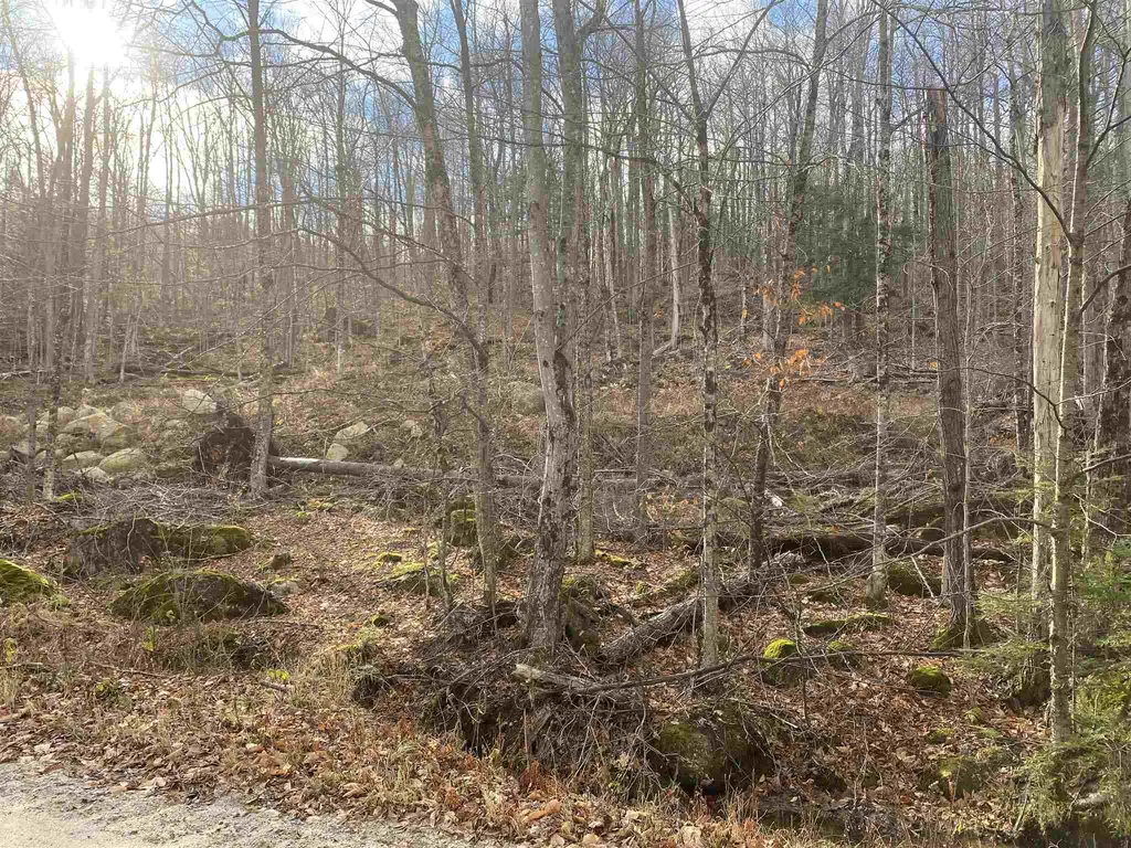 178 Dole School House Road Washington NH 03280