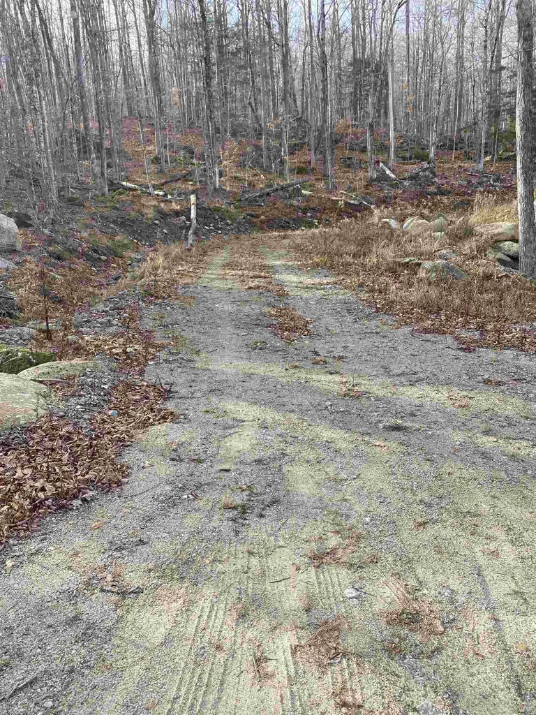 178 Dole School House Road Washington NH 03280