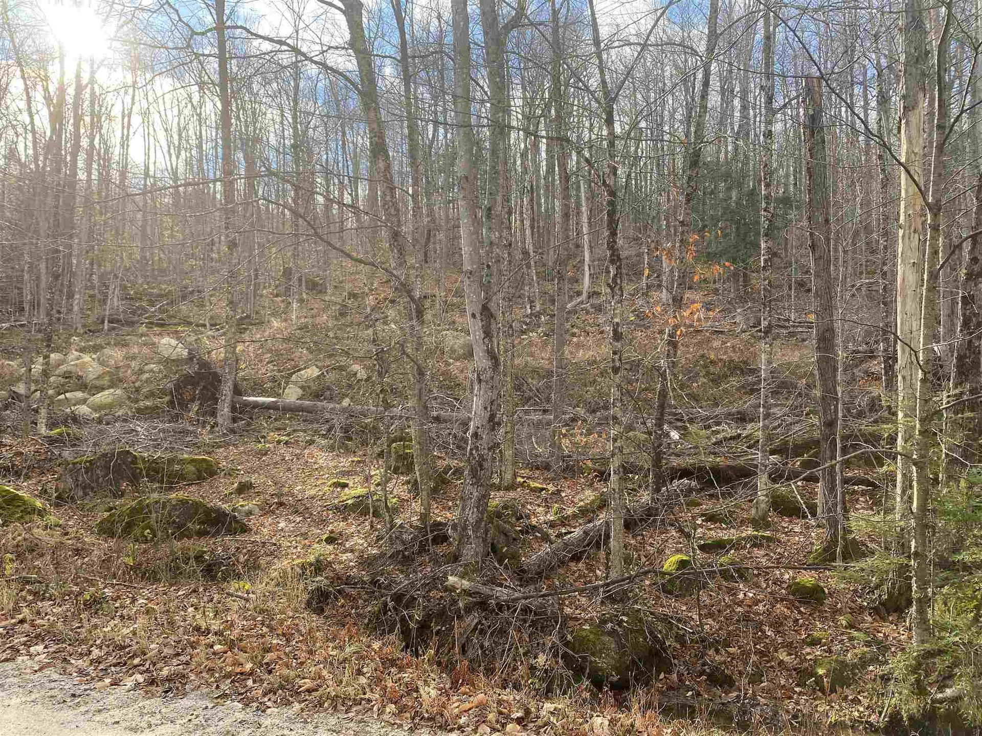 178 Dole School House Road Washington NH 03280