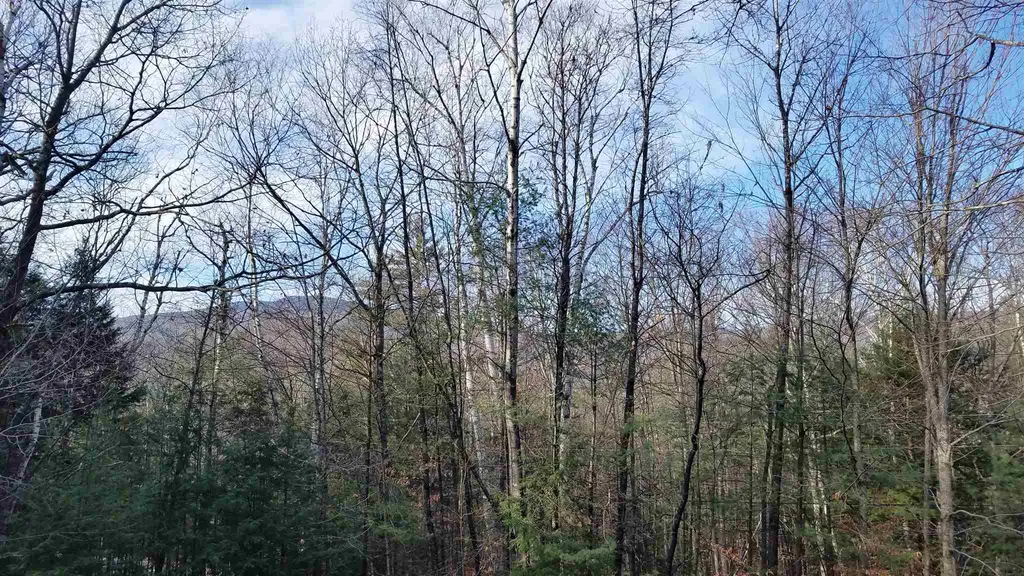 View 37 River Run #3, Thornton, NH 03285 Alpine Lakes Real Estate