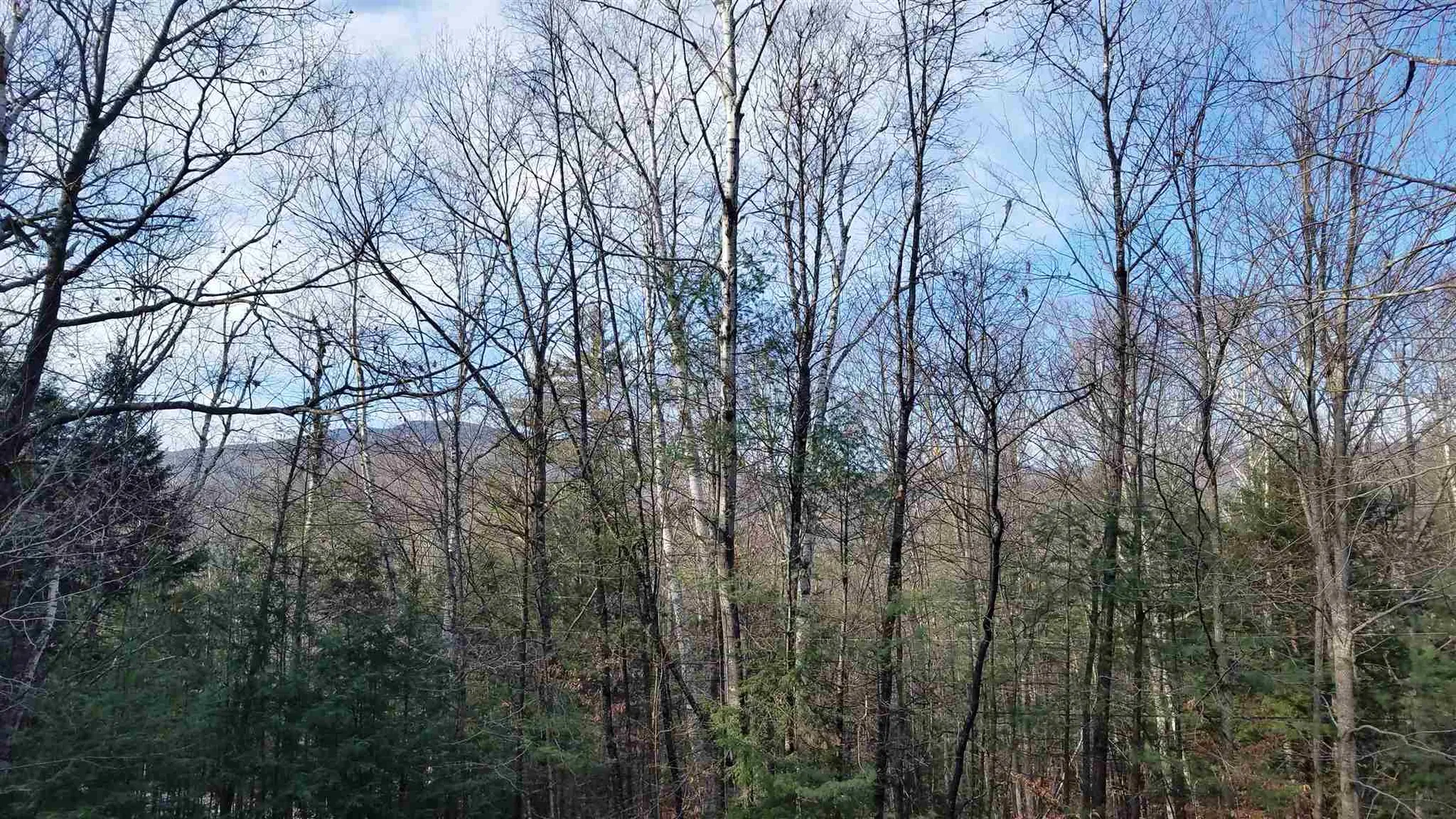 View 37 River Run #3, Thornton, NH 03285 Alpine Lakes Real Estate