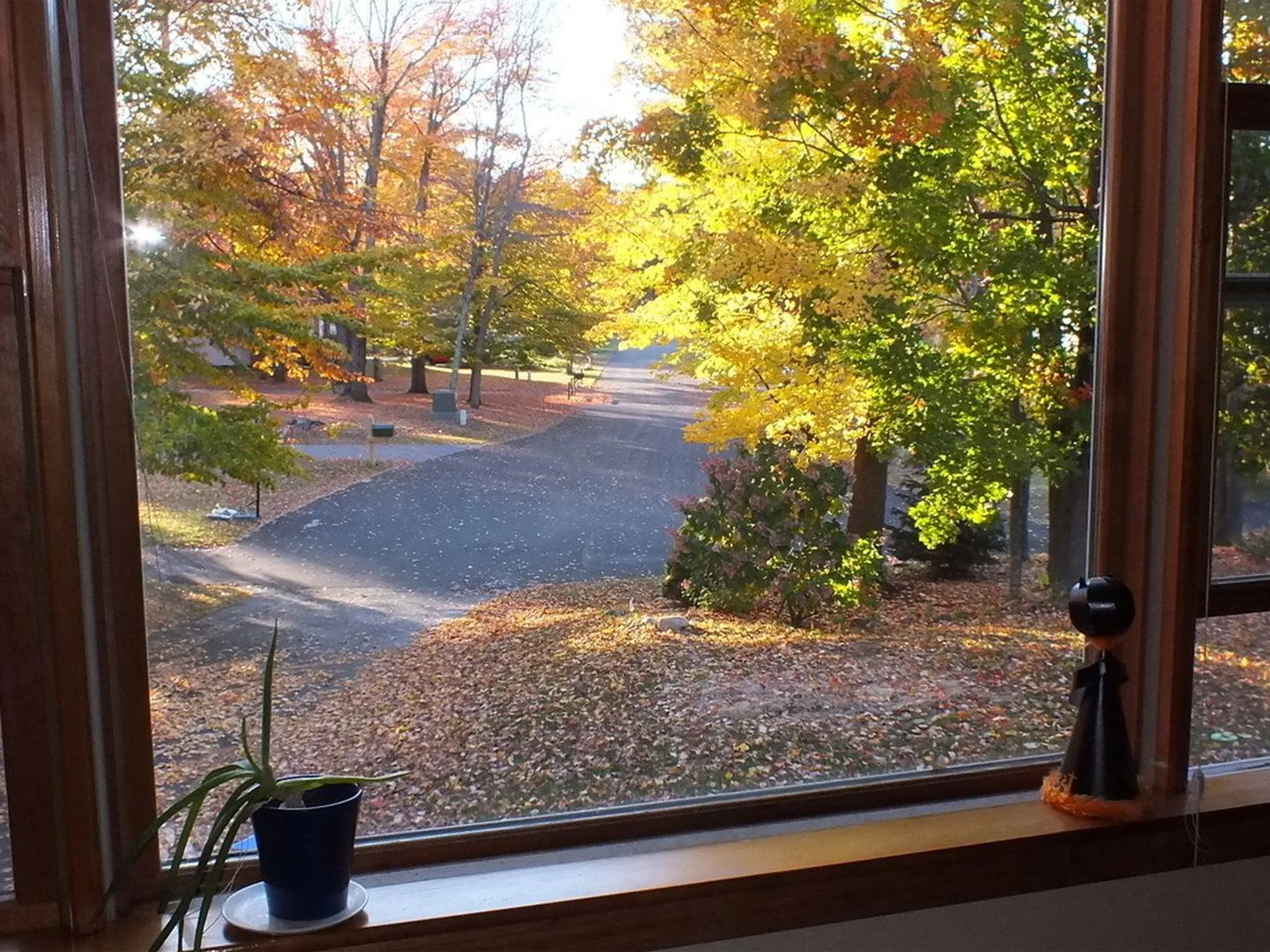 524 Lamplite Lane Williston VT 05495