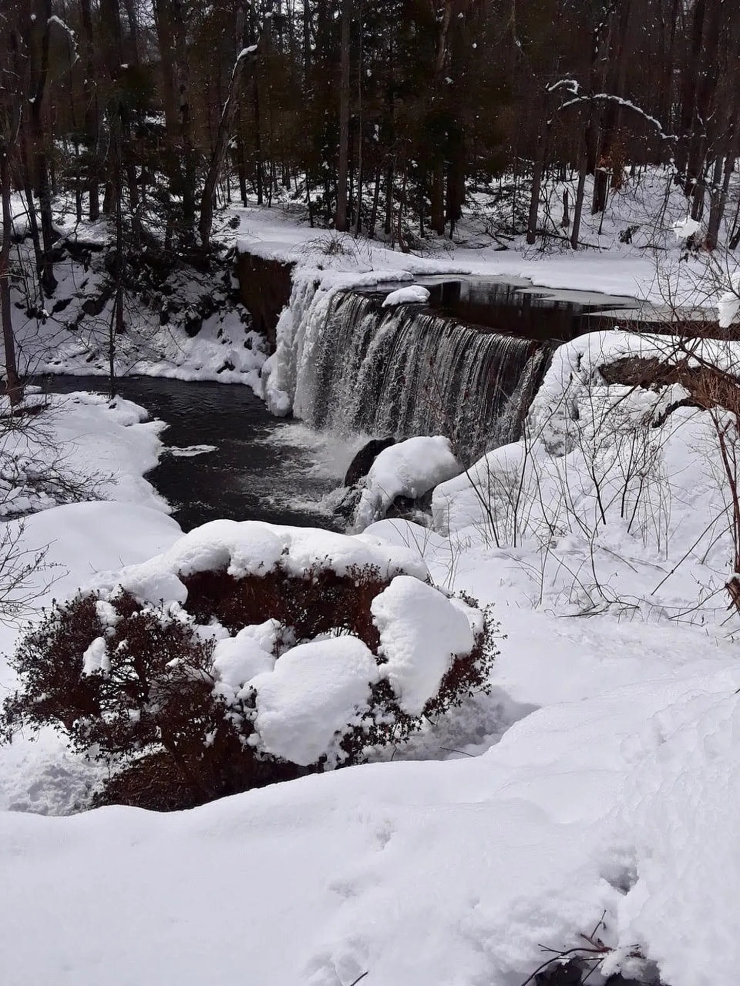 27 Kensington Road Hampton Falls NH 03844