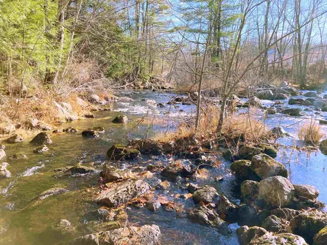 22 Mill Road Andover NH 03216