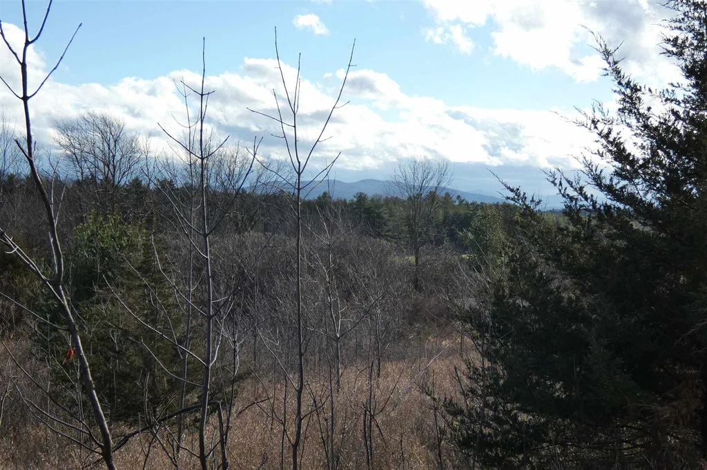 345 Perkins Road Weybridge VT 05753